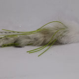 Leggy Boi Game Changer Pike Fly Green/White