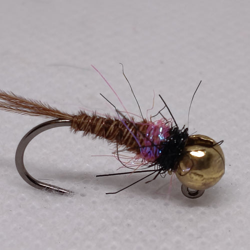 TUNGSTEN NYMPHS 4.6mm BEADS Size 10 Barbless Jig Hook Pheasant Tail Pink/Black Collar