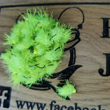 6 CHARTREUSE EGGSTACY BLOBS FISHING TROUT FLIES  SIZE 10 BARB LESS HOTHEAD