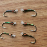 Holo Black Buzzers size 14 straight hook (Set of 6) Fly Fishing Flies Trout