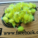 6 Fluro Yellow Pearl Flash Tail BLOBS/TROUT FLIES/FLY FISHING size 10 barbed