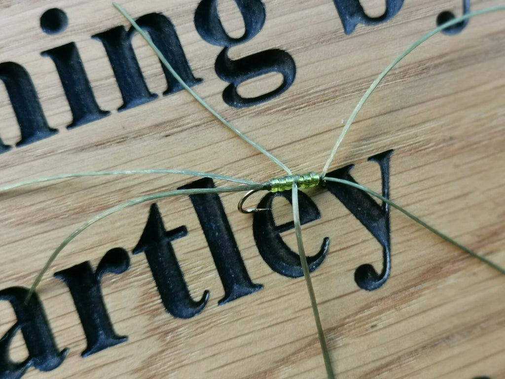 6 Apps Blood Worm Trout Fly -  size 10 Olive