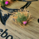 6 PINK /OLIVE EGG-IT BLOBS FISHING TROUT FLIES  SIZE 10 BARB LESS HOTHEAD