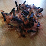 6 Daddy Long Legs Booby Trout Flies Barbed Trout Flies Booby Eyes Size 10